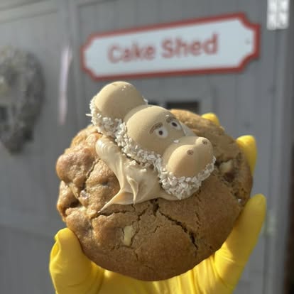 Kinder hippo cookie